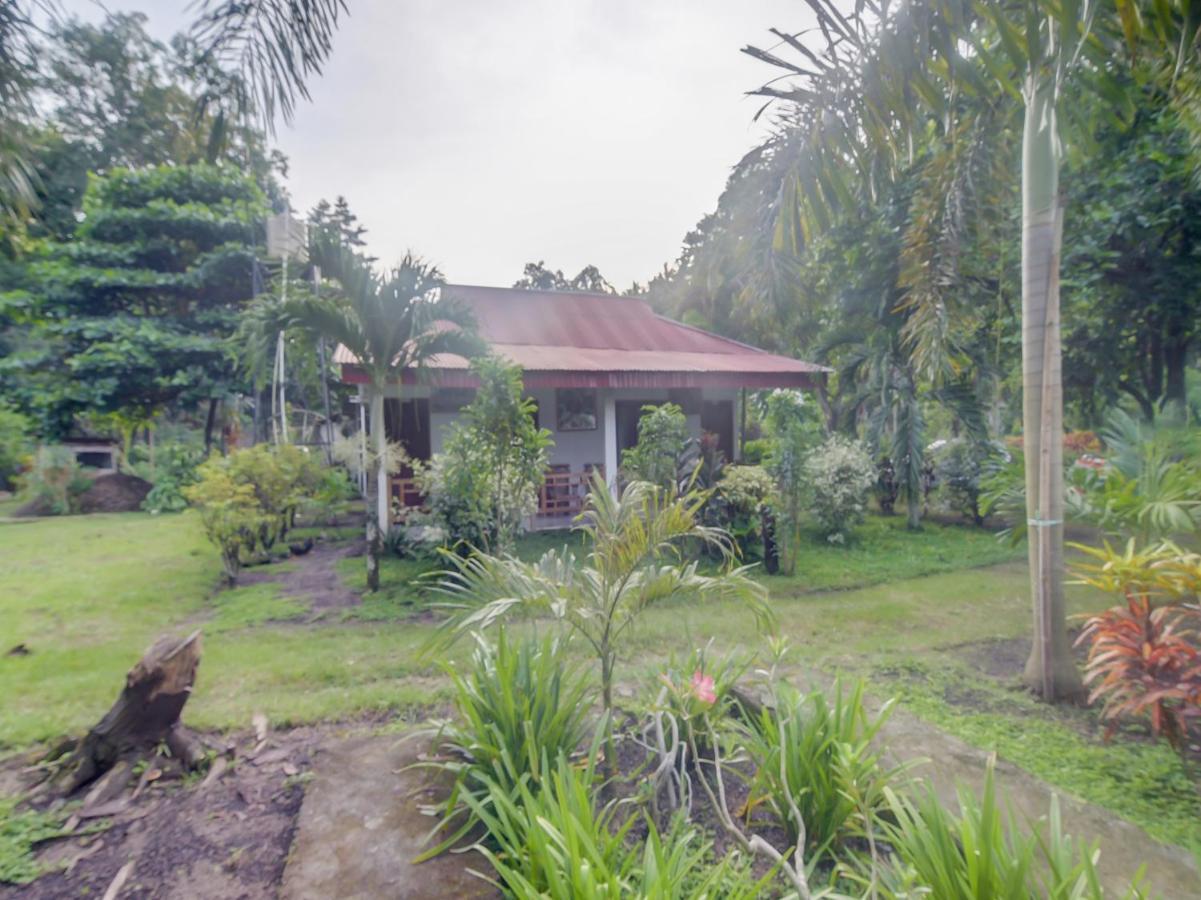 Oyo 90988 Tangkoko Jungle Homestay Rinondoran Exterior foto
